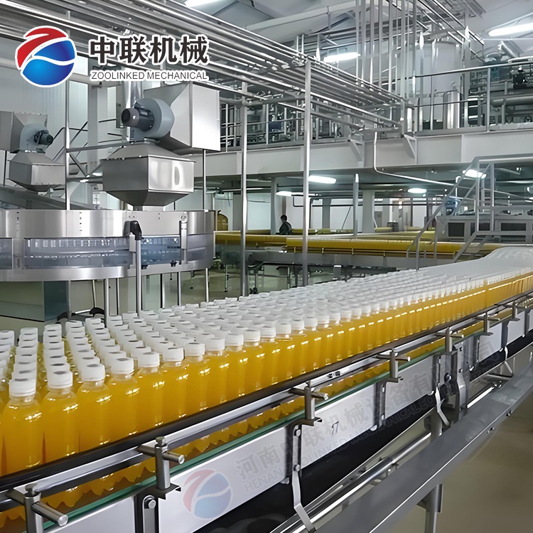 整套菇娘果飲料生產(chǎn)線(xiàn)設備