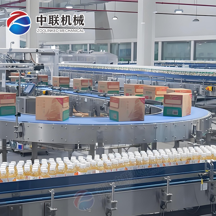 整套木瓜汁飲料生產(chǎn)設備